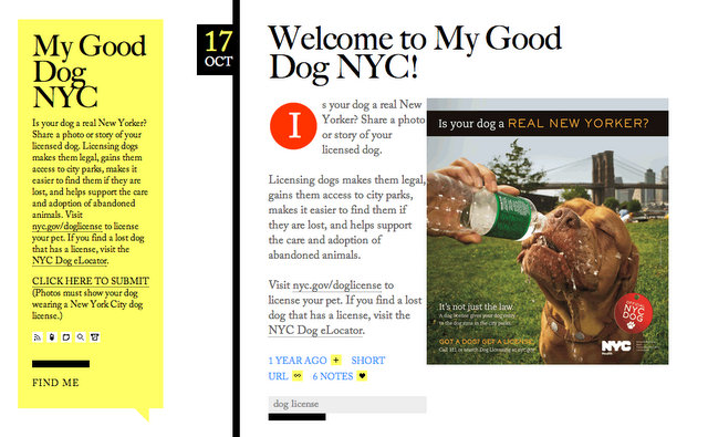 My Good Dog NYC-Is your dog a real New Yorker-Tumblr