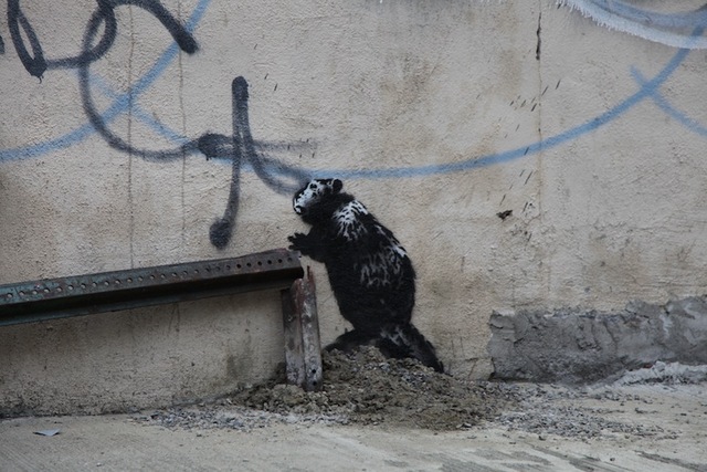 Banksy Day 9-East NY-Beaver-No Parking Anytime-NYC