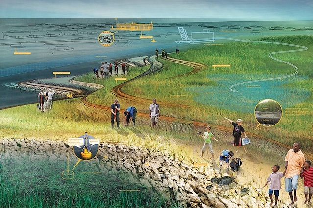 A plan for Barnegat Bay to help "regenerate lost ecological systems, recalibrate sediment cycles, and step down risk for waterfront communities."