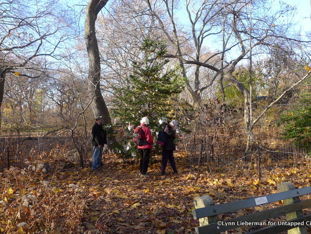 Central Park-Secret Christmas Tree-Dedicated Memory to Pets-NYC-4