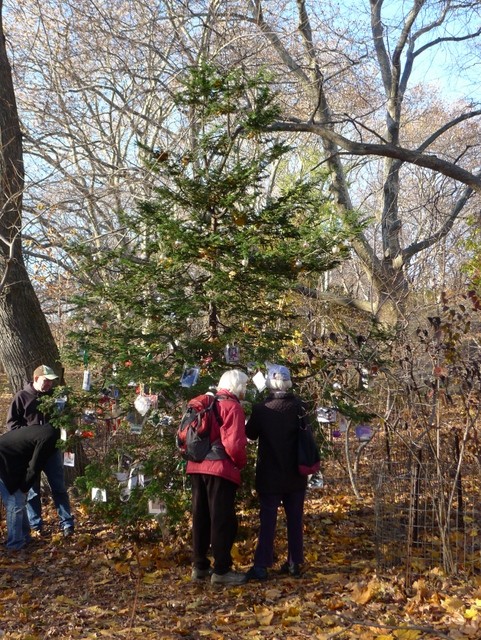 Central Park-Secret Christmas Tree-Dedicated Memory to Pets-NYC
