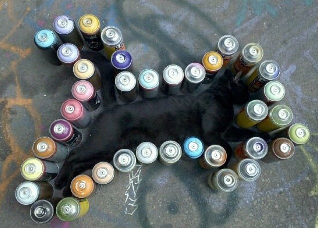 Graffiti Cat 5 Pointz-Baxter-NYC-Rachel Fawn Alban-Street Art-Aerosol Cans