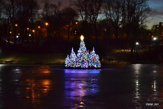 Harlem Meer Christmas Tree-Floating-Central Park NYC