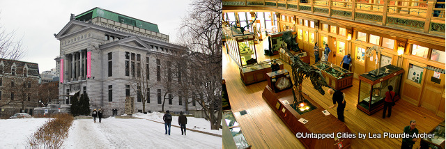 Redpath museum Montreal Untapped Cities Lea Plourde-Archer