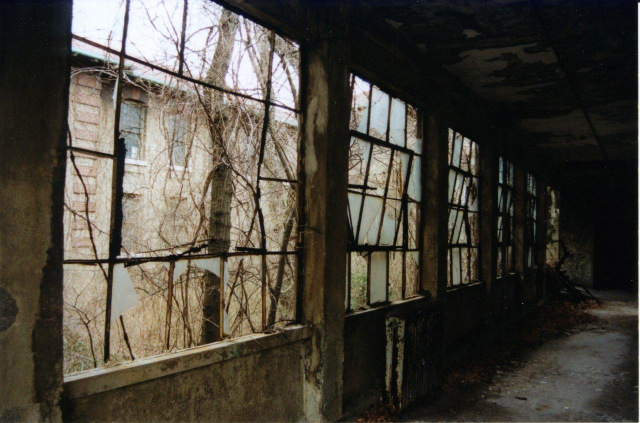 1-10.  Hospital corridor window with vines