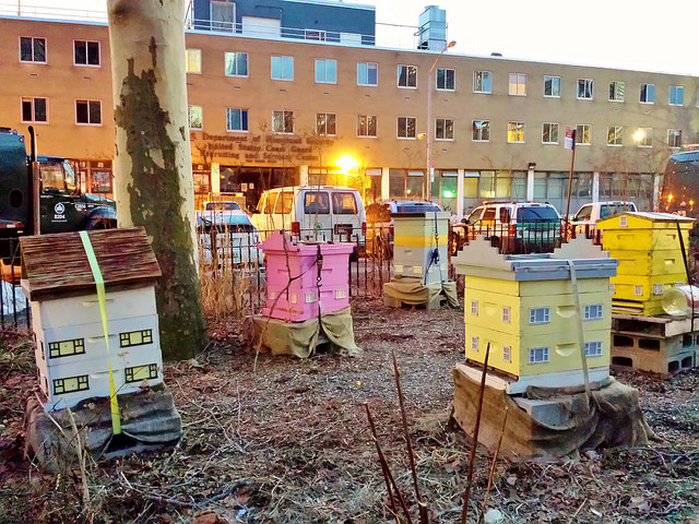 Untapped Cities-Battery Conservancy-Bee Hives-Little Homes-NYC