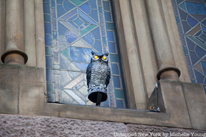 owl at central synagogue