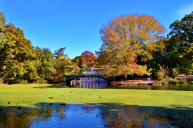 Prospect Park Boathouse-Brooklyn-NYC-Untapped Cities