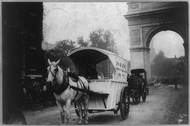 horse-carriage-nyc-untapped