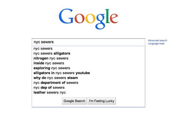NYC Sewer Alligator Google Search