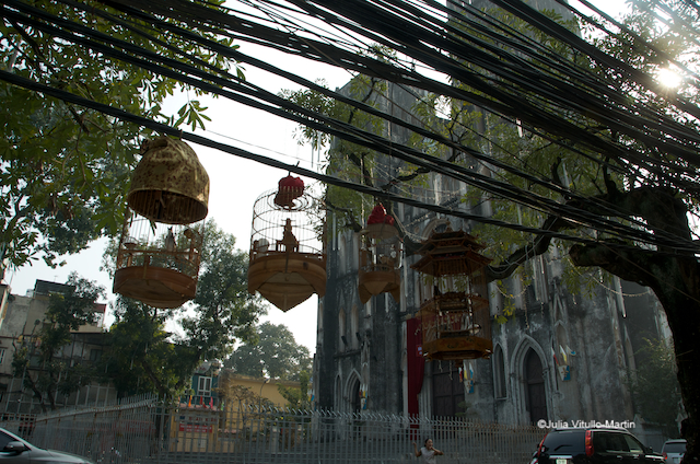 Birdcages in front of the 1887 Cathedral Saint-Joseph