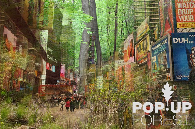 PopUpForest_Times Square_Untapped Cities_bhushan-catherine mondkar-001