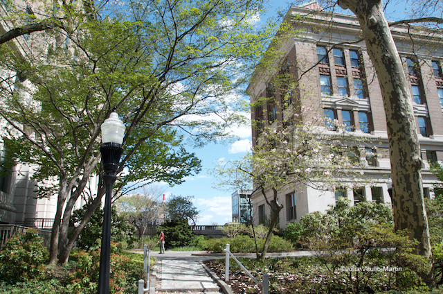 Rockefeller University's Beaux Arts campus welcomed Dan Kiley's modernist vision.
