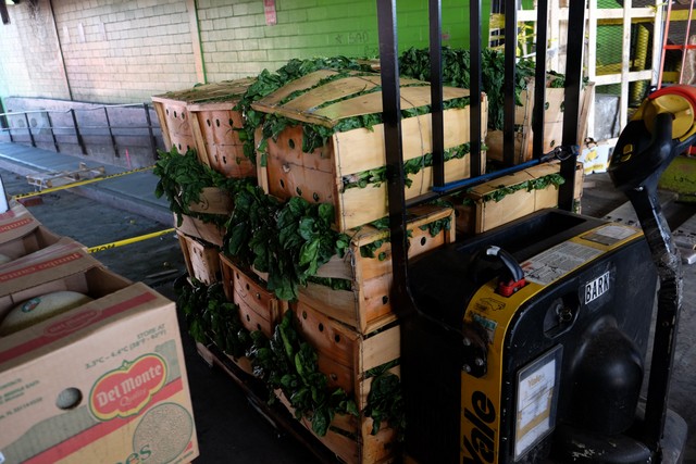 Hunts Point Produce Terminal-Bronx-NYCEDC-Behind the Scenes NYC-Untapped Cities-005