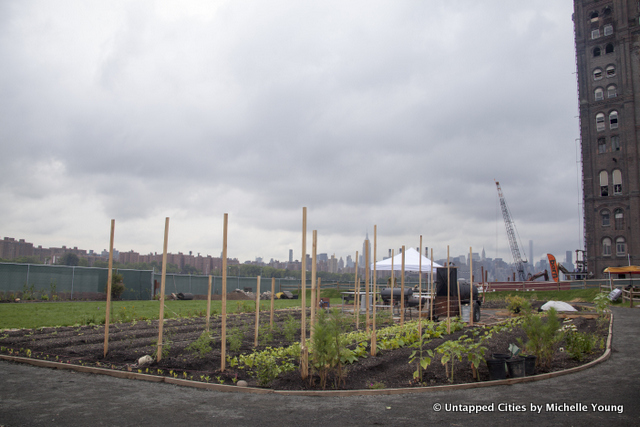 North Brooklyn Farm-Farm on Kent-Domino Sugar Factory-Two Trees-Williamsburg-Brooklyn-NYC_13