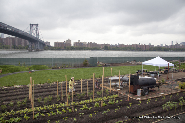 North Brooklyn Farm-Farm on Kent-Domino Sugar Factory-Two Trees-Williamsburg-Brooklyn-NYC_8