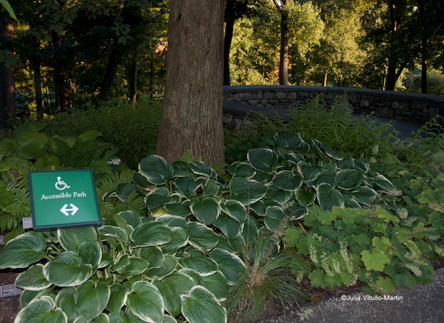The NYBG has made most paths accessible..