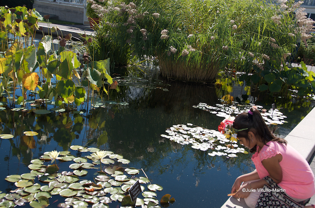 Always present, the Haupt's lily ponds take on a Frida flavor in the company of her exhibit.