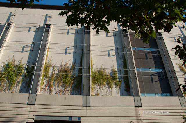 Polshek and Partners designed the Steere Herbarium addition to the Museum Building.