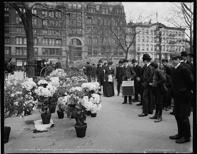 1-Top 15 Secrets of NYC's Union Square_Flower Market_1900s_Untapped Cities_Stephanie Geier