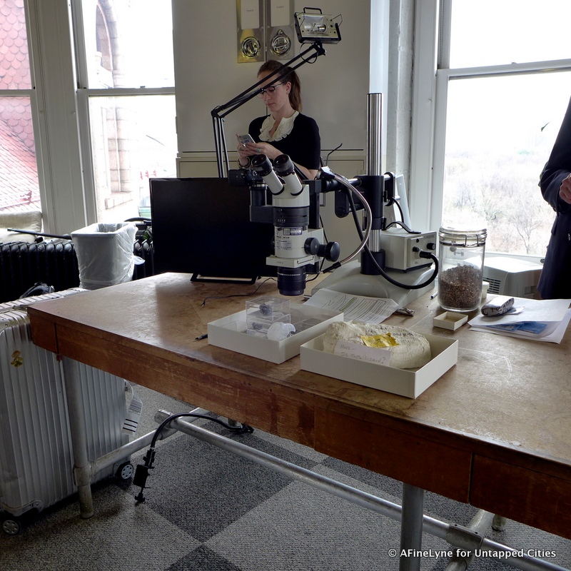 Behind the Scenes at Museum of Natural History in Mark Norell's office Untapped Cities AFineLyne