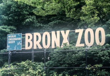Bronx Zoo sign