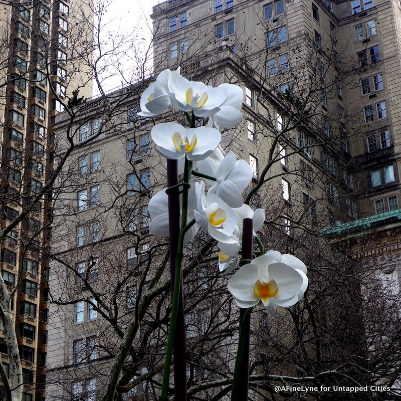 Doris C. Freedman Two Orchids Untapped Cities AFineLyne