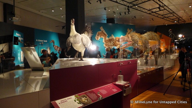 Exhibit Dinosaurs Among Us at American Museum of Natural History Untapped Cities