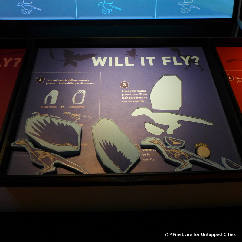 Will It Fly American Museum of Natural History Untapped Cities AFineLyne