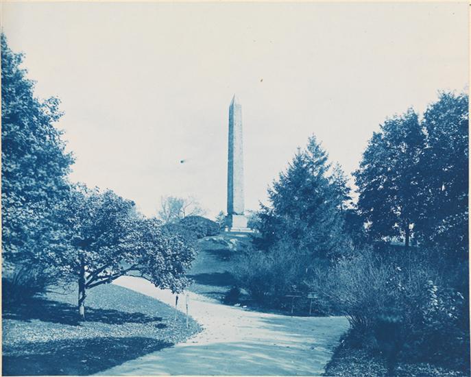 Central Park-Augustus Hepp-Blue Cyanotype Large Format Photo-Museum of the City of NY-NYC-16
