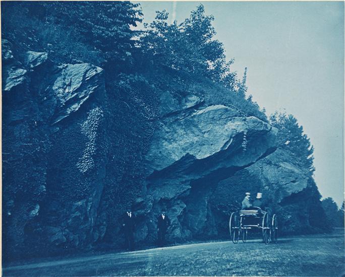 Central Park-Augustus Hepp-Blue Cyanotype Large Format Photo-Museum of the City of NY-NYC-18