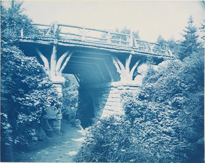 Central Park-Augustus Hepp-Blue Cyanotype Large Format Photo-Museum of the City of NY-NYC-8