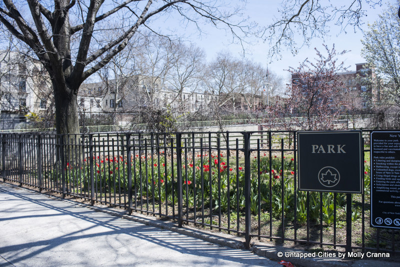 pocket_park-prospect_expressway-tulips-park_slope-south_slope-brooklyn-new_york_city-untapped_cities-alexander_mcquilkin
