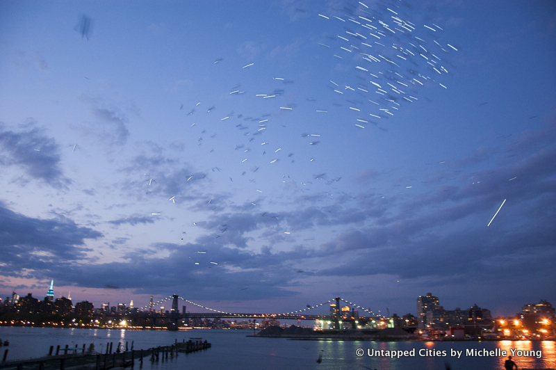 Fly by Night-Duke Riley-Creative Time-Pigeons-Brooklyn Navy Yard-NYC_21
