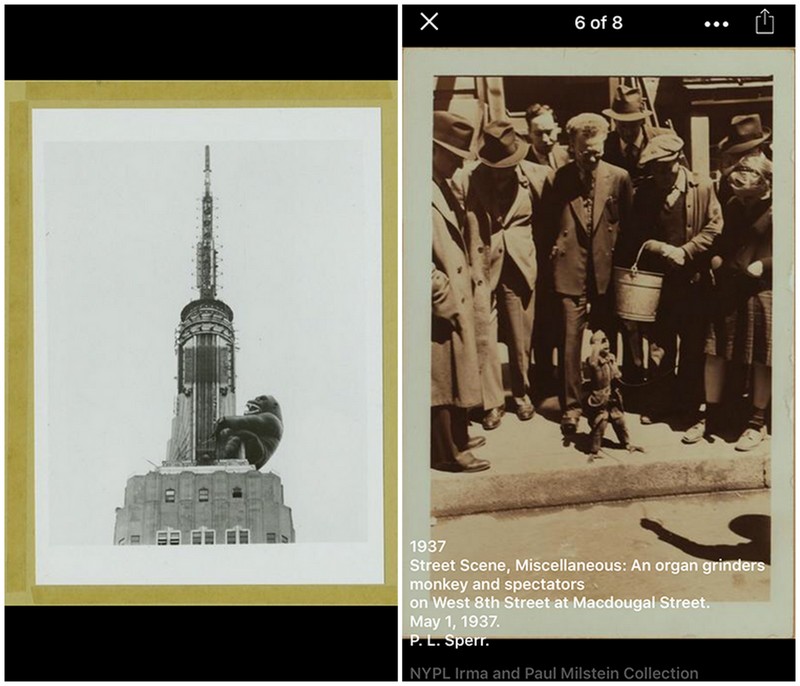 Old NYC App-NYPL-Vintage Photos-NYC-Screenshot-3