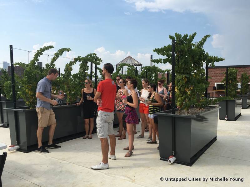 rooftop-reds-vineyard-tour-brooklyn-navy-yard-untapped-cities-nyc