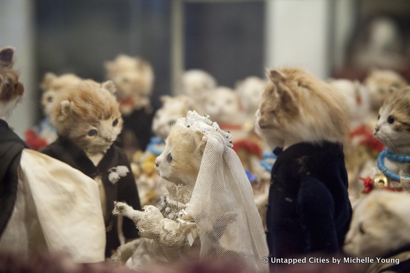 morbid-anatomy-museum-walter-potter-kitten-wedding-jd-powe-gowanus-brooklyn-nyc