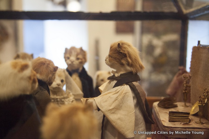 morbid-anatomy-museum-walter-potter-kitten-wedding-taxidermy-exhibit-gowanus-brooklyn-nyc_2