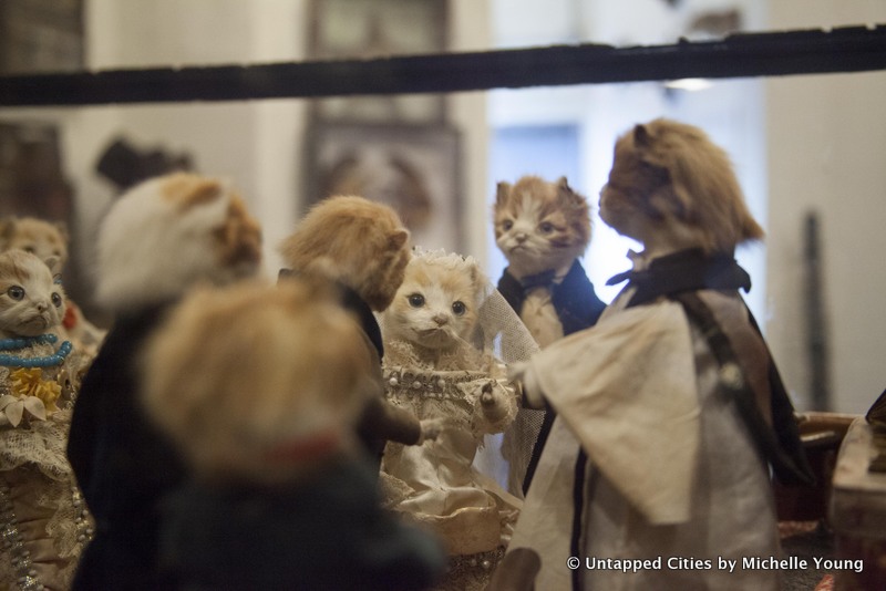 morbid-anatomy-museum-walter-potter-kitten-wedding-taxidermy-exhibit-gowanus-brooklyn-nyc_3