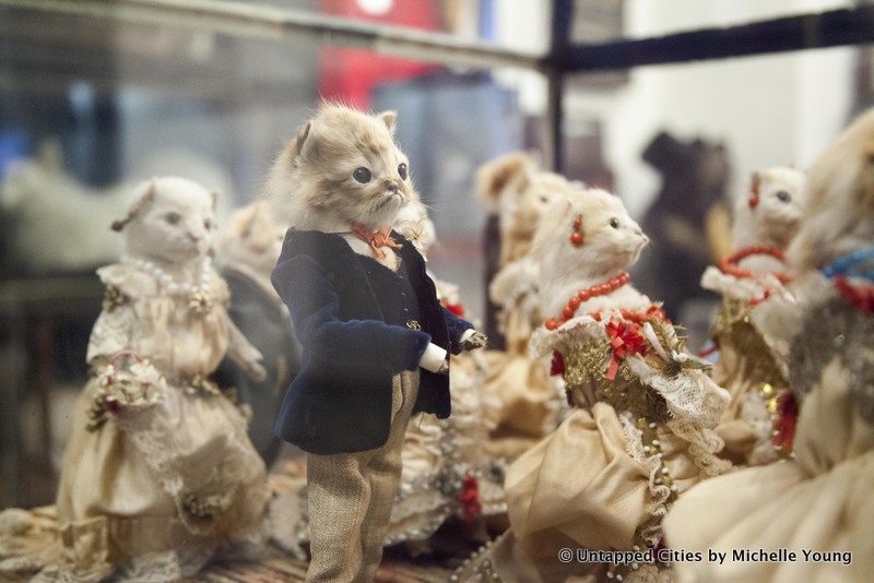 morbid-anatomy-museum-walter-potter-kitten-wedding-taxidermy-exhibit-gowanus-brooklyn-nyc_5