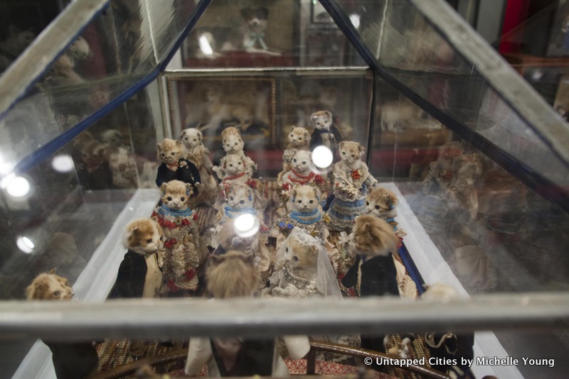 morbid-anatomy-museum-walter-potter-kitten-wedding-taxidermy-exhibit-gowanus-brooklyn-nyc_7