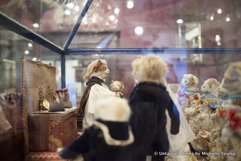 morbid-anatomy-museum-walter-potter-kitten-wedding-taxidermy-exhibit-gowanus-brooklyn-nyc_8