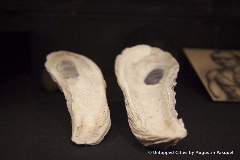 new-york-at-its-core-exhibition-oyster-shells-museum-of-the-city-of-new-york-400-years-of-nyc-history_27