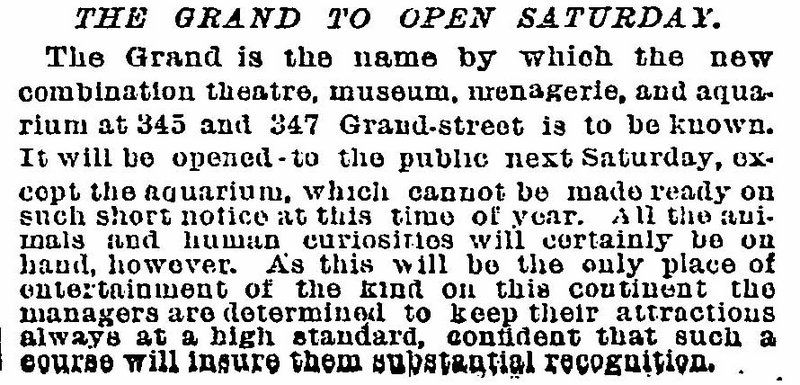 the-grand-pt-banrum-345-347-grand-street-lower-east-side-nyc-001
