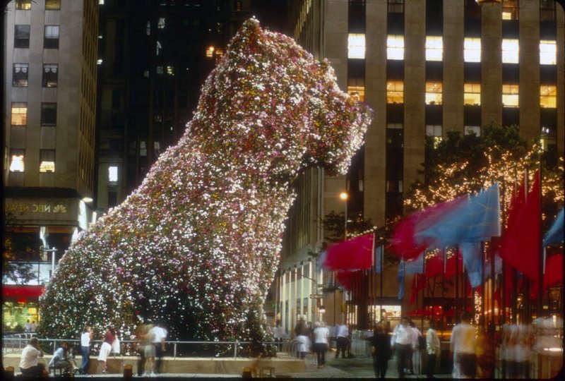 9 Places to See the Work of Jeff Koons In NYC, Past and Present Page
