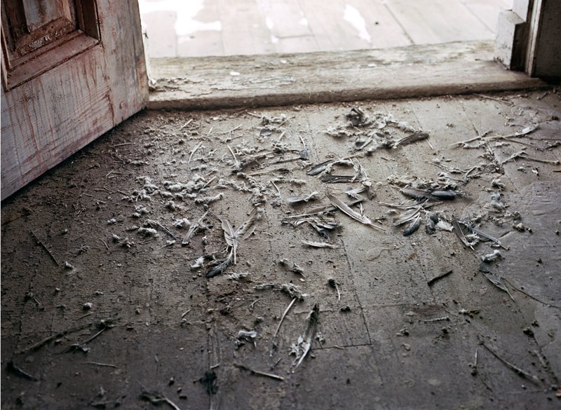 Debris on a wood floor in the Borscht Belt