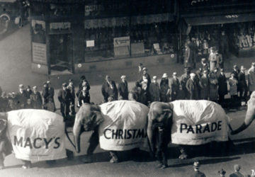 Elephants at the first Macy's Thanksgiving Day parade