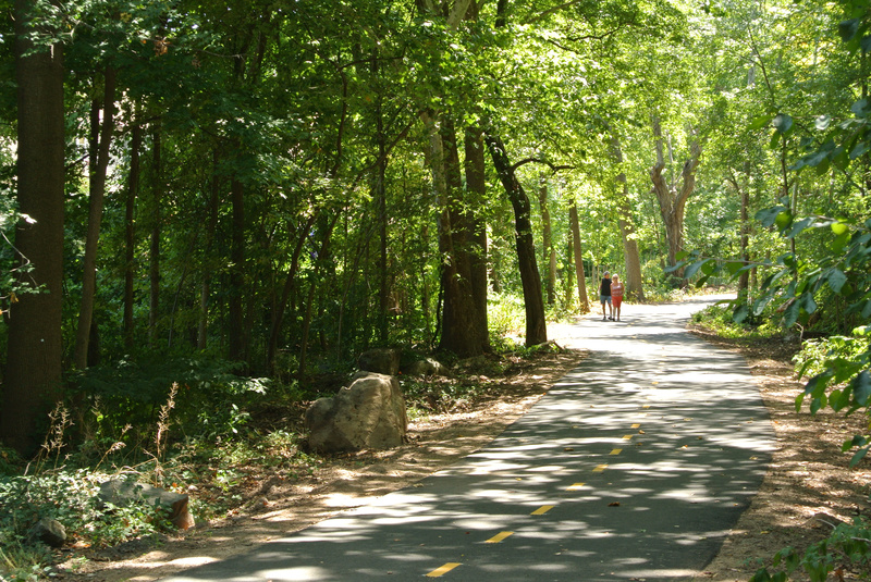Road in Freshkills Park