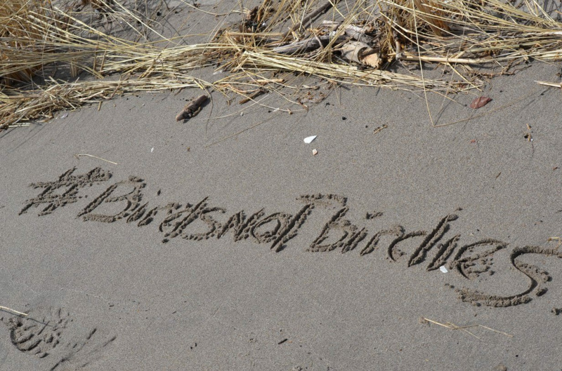 #Birdsnotbirdies written in the sand