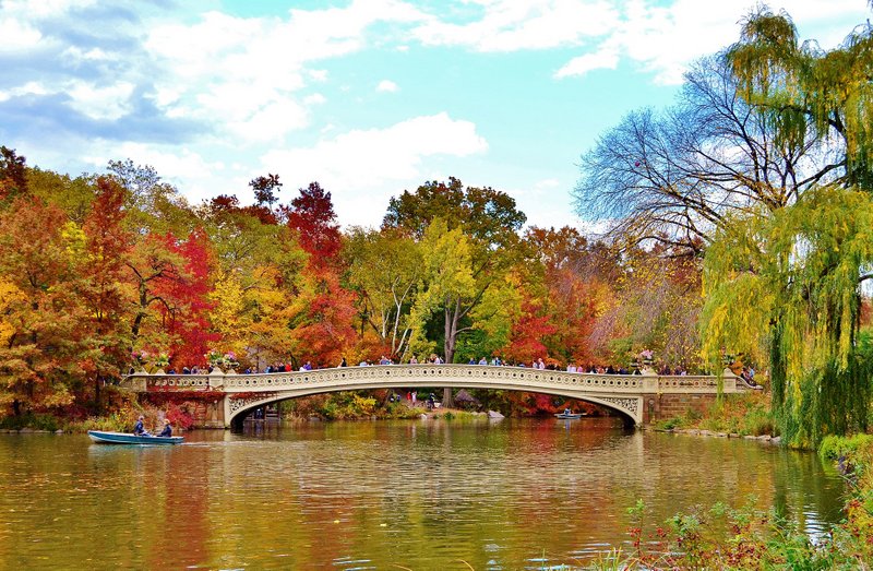 Vibrant autumnal colors set the background behind a romantic image of Bow Bridge.
